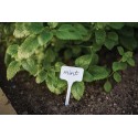 10Stk. Kunststoff weiß Pflanze/Samen Etiketten 15x 5,5cm  Bradas 9531