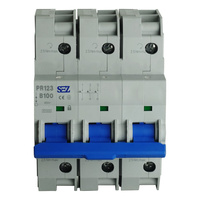 Leitungsschutzschalter Sicherung B100A 3p 10kA PR123 LS-Schalter SEZ 0099179
