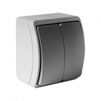 Wandschalter Doppelschalter Lichtschalter Ausschalter IP44 grau/anthrazit 152-08 DV 152-08-DRV