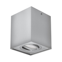 Deckenleuchte HARY D GU10 SILVER IDEUS 03715