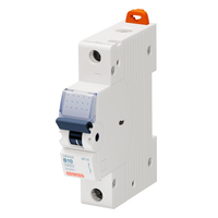 Leitungsschutzschalter MT 100 1P 10A Typ B 230V 400V 15kA LS-Schalter für Verteilungen IEC EN 60898-1