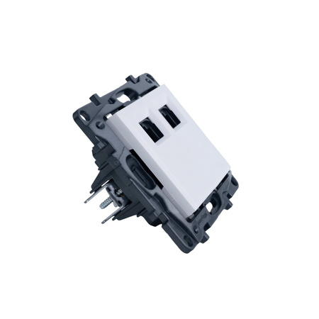 Doppelte Netzwerksteckdose 2xRJ45 863160