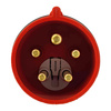 CEE Stecker mit Phasenwender 5P 32A IP44 400V 3107-350-1600