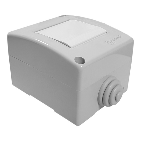 Lichtschalter im Gehäuse IP40 grau M-L 1470.00