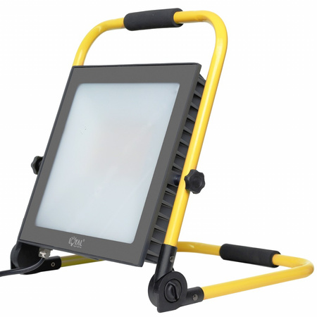 LED Fluter 100W Scheinwerfer mit Stecker tragbar IP65 LY-LWL-C100