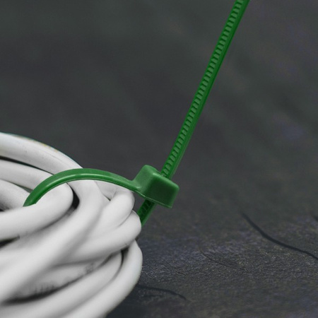 100Stk. Kabelbinder 2,5x150mm Green grün Bradas TS1125150G