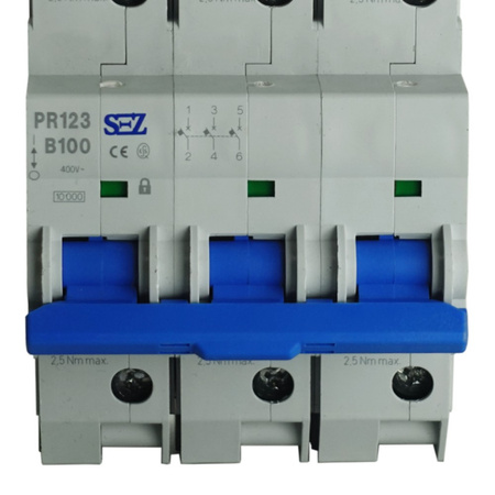 Leitungsschutzschalter Sicherung B100A 3p 10kA PR123 LS-Schalter SEZ 0099179