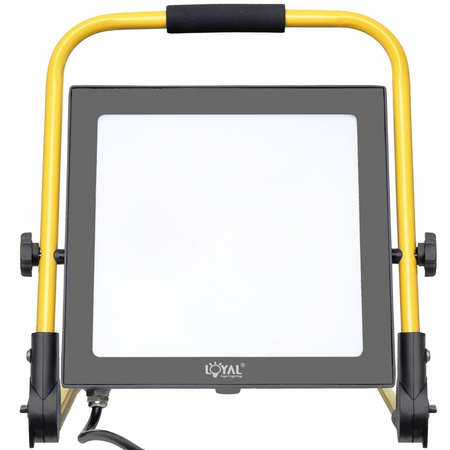 LED Fluter 100W Scheinwerfer mit Stecker tragbar IP65 LY-LWL-C100