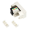 Internet Einsatz RJ45 cat.6 LAN Steckdose M-L 7264.C6.B