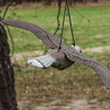 Vogelschreck Vogelabwehr 35/54/8cm Falke Bradas CTRL-BR104