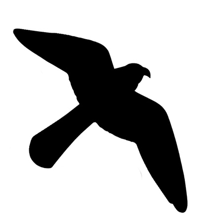 Vogelabwehr Bradas Vogelschutz Fensteraufkleber groß 6X10 Bogen 60 Stück CTRL-BR002