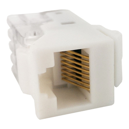 Einbaumodul Internet Modularkupplung CAT5e RJ45 8/8 KeyStone Konnektor Netzwerk Adapter SNAP-IN TEM PD12 Einsatz KA11-U