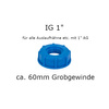IBC Adaper S60x6 mit 1" IG für Auslaufhahn Kappe für Regenwassertank Bradas IBCS60F-F100