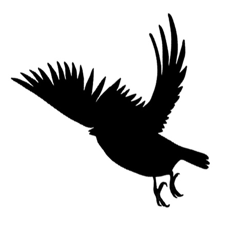 Vogelabwehr Bradas Vogelschutz Fensteraufkleber 9x10 Blätter 90 Stück CTRL-BR001