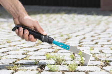 Fugenkratzer Unkrautstecher Fugenreiniger Unkrat Combisystem Gardena 08959-20