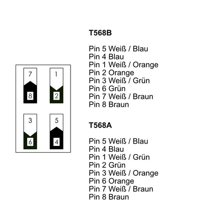 Internet Einsatz RJ45 cat.6 LAN Steckdose M-L 7264.C6.B