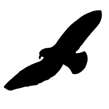 Vogelabwehr Bradas Vogelschutz Fensteraufkleber groß 6X10 Bogen 60 Stück CTRL-BR002