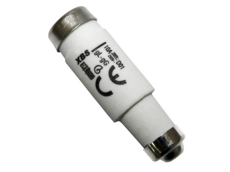 Sicherungseinsatz D01 6A gL/gG Sicherung Schmelzsicherung E14 400V XBS 0000000098