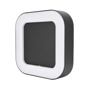 Fassadenlampe Wandleuchte Außen 10W 4000K IP65 C25-EL2-S-010GR-4K