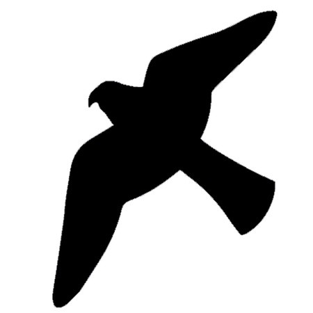 Vogelabwehr Bradas Vogelschutz Fensteraufkleber groß 6X10 Bogen 60 Stück CTRL-BR002