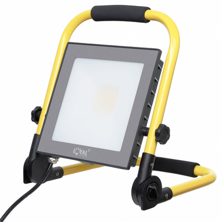 LED Fluter 30W Scheinwerfer mit Stecker tragbar IP65 LY-LWL-C-30