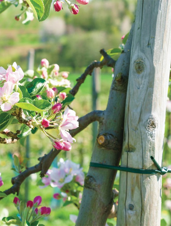 Bindeschlauch Hohlschnur Bindeband 3,9mm x 30m Bradas TYW39X030