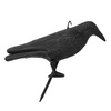 Vogelschreck Vogelabwehr Rabe Bradas CTRL-BR101