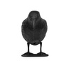 Vogelschreck Vogelabwehr Rabe Bradas CTRL-BR101