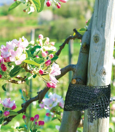 Baumanbinder 3cmx50m grün Rolle Baumbinder Pflanzenbinder Bindeband Pflanzenband Bradas TYT3X50