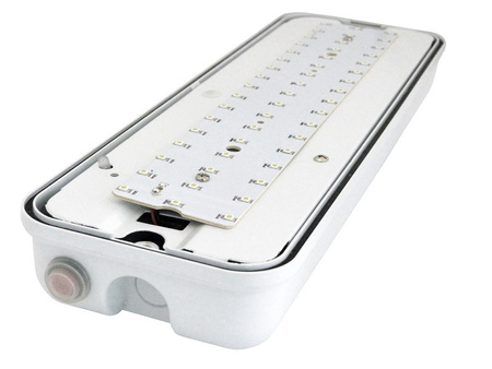 LED Notleuchte IP65 Notausgang Notlicht Fluchtwegleuchte EL-LED XBS EL-LED-M