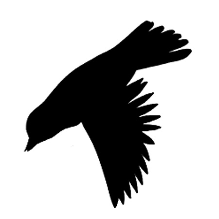 Vogelabwehr Bradas Vogelschutz Fensteraufkleber 9x10 Blätter 90 Stück CTRL-BR001