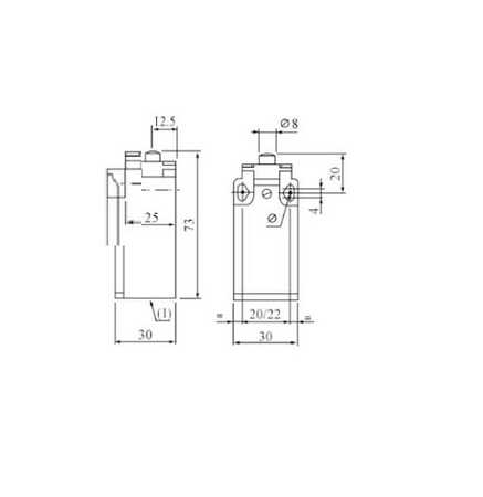 Positionsschalter mit Stößel 1NC/1NO Endschalter Grenztaster Positionstaster XBS MVGK-110