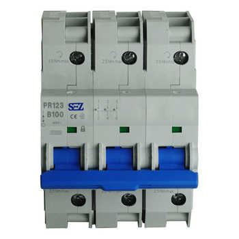 Leitungsschutzschalter Sicherung B100A 3p 10kA PR123 LS-Schalter SEZ 0099179
