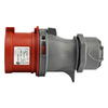 CEE Stecker mit Phasenwender 5P 32A IP44 400V 3107-350-1600