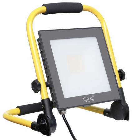 LED Fluter 30W Scheinwerfer mit Stecker tragbar IP65 LY-LWL-C-30