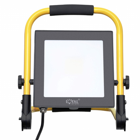 LED Fluter 30W Scheinwerfer mit Stecker tragbar IP65 LY-LWL-C-30