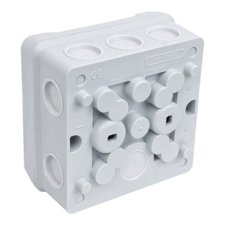 Abzweigdose Verbindungsdose HENSEL DE 9320 Z