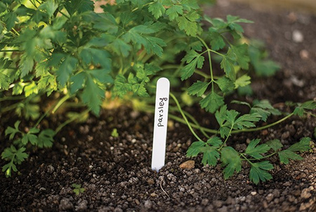 25Stk. Kunststoff weiß Pflanze/Samen Etiketten mit Stift 15x1,5cm Bradas TYE1515