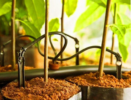 Bradas Gerade Pfeil Tropfer 2,2l/h 3x5mm Schlauchtülle Tropfbewäserung Microbewässerung DSK-2101L