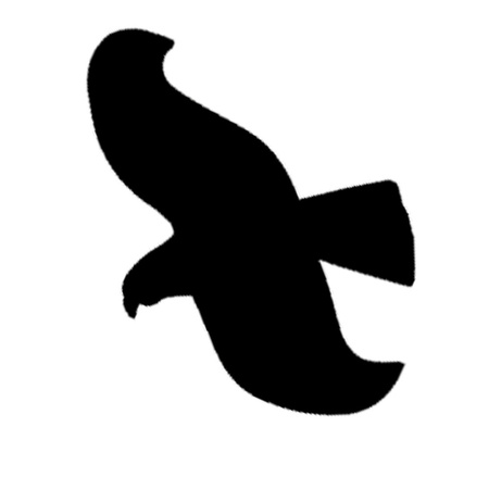 Vogelabwehr Bradas Vogelschutz Fensteraufkleber groß 6X10 Bogen 60 Stück CTRL-BR002