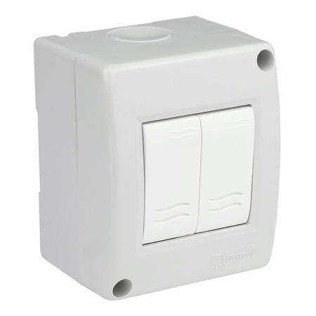 Doppel Lichtschalter im Gehäuse IP40 M-L 1470.00.00