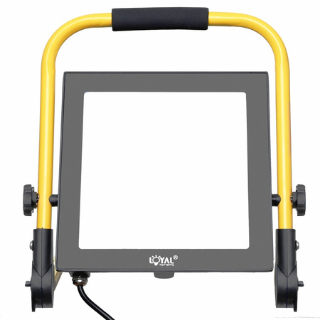 LED Fluter 50W Scheinwerfer mit Stecker tragbar IP65 LY-LWL-C50