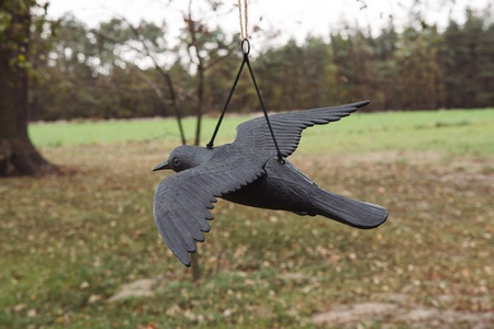 Vogelschreck Vogelabwehr Rabe 61/44/13cm Bradas CTRL-BR102
