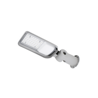 Straßenleuchte Straßenlaterne Straßenlampe JAZMIN 30W 4000K 4050LM IP65 Hellgrau C82-JAZ-030LG-4K