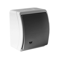 Lichtaster Wandtaster Taster IP44 grau/anthrazit 156-08-DRV